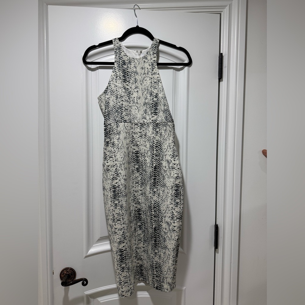 Likely Black and White Patterned Dress